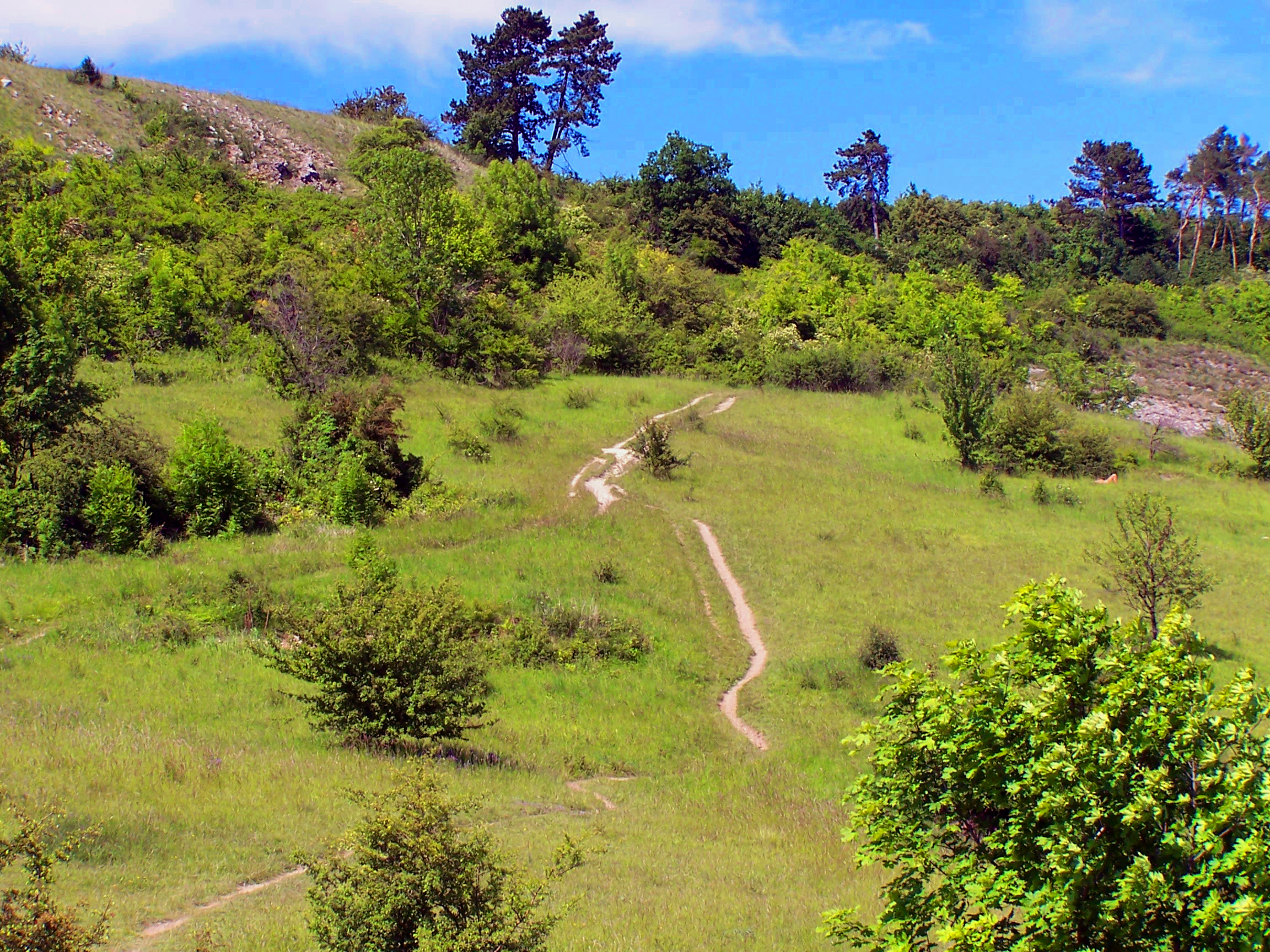 Pražská příroda jako lék