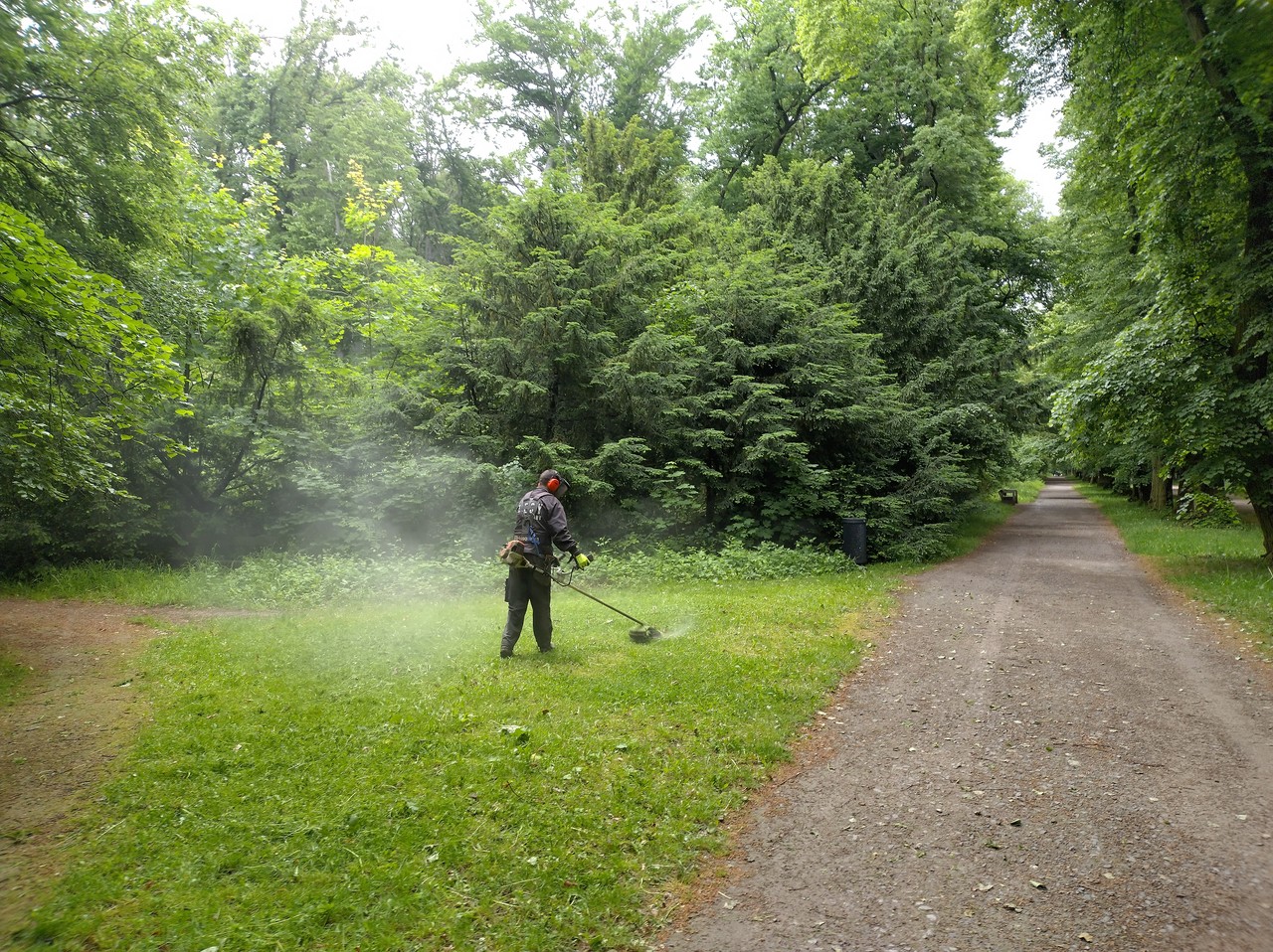 Tajemná obora Hvězda 3: historie a budoucnost lesa 