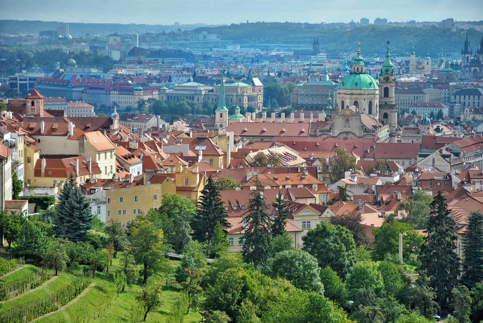 Vycházka s panem doktorem