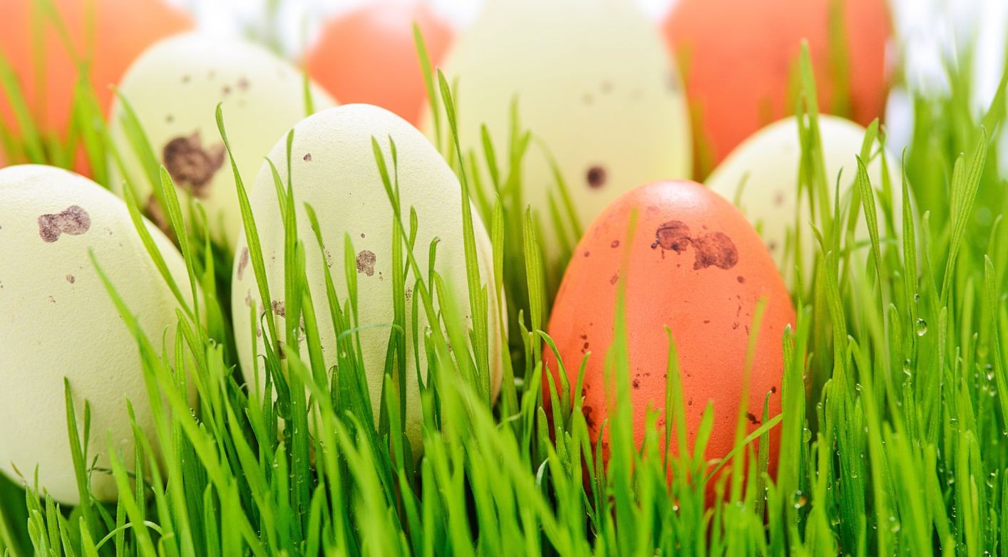 Výtvarná dílna: duben 2026