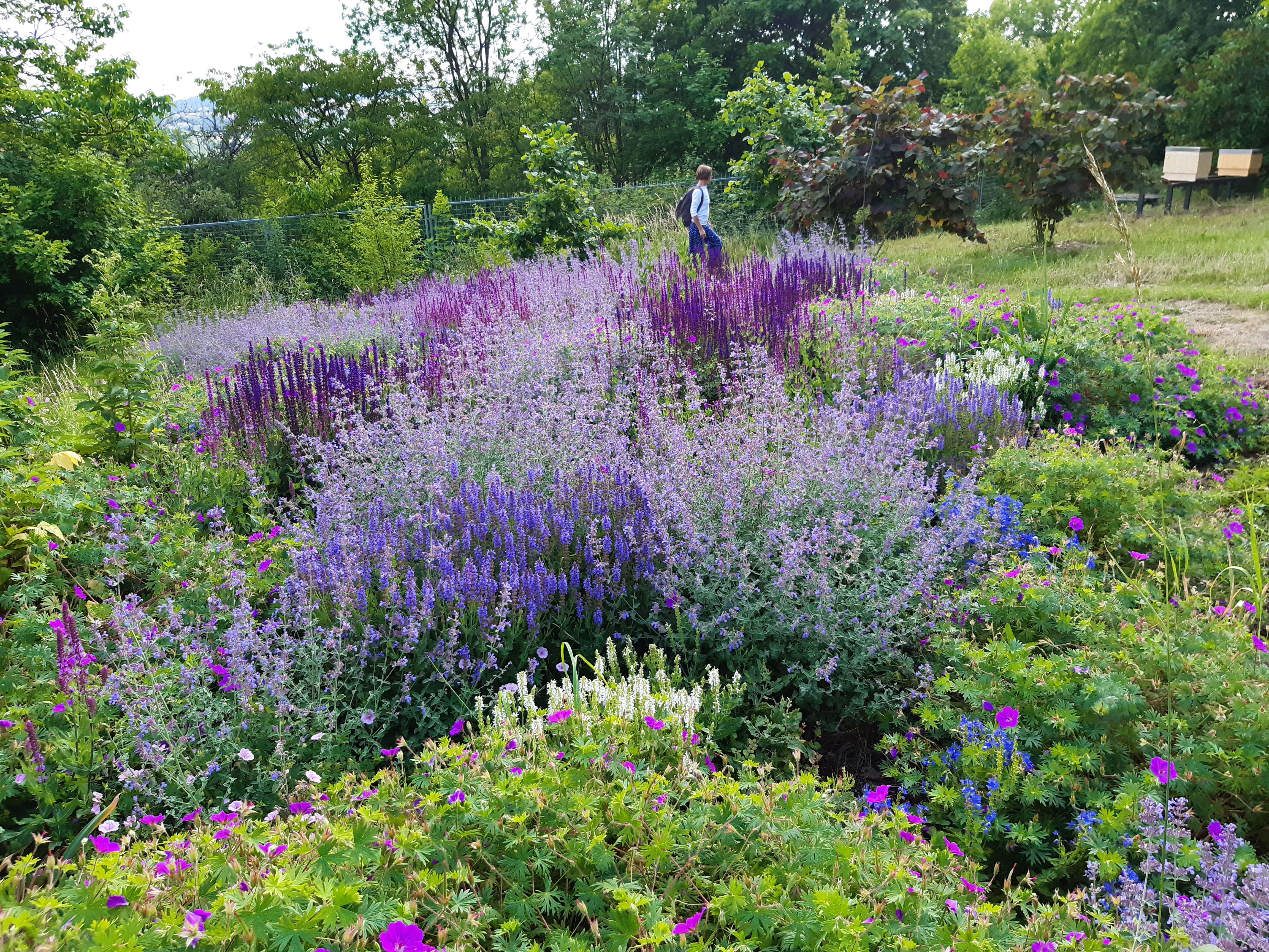 Cesta k přírodní zahradě