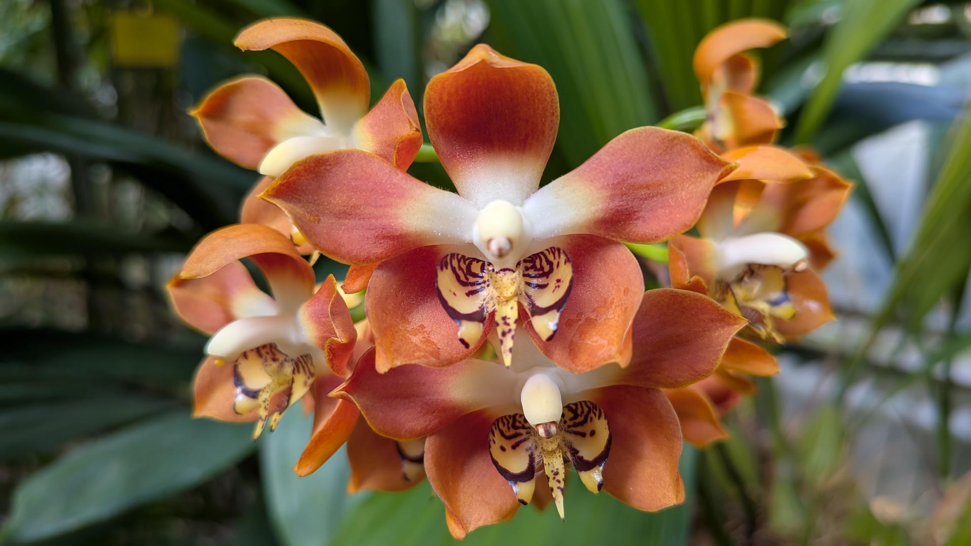 Botanická zahrada 