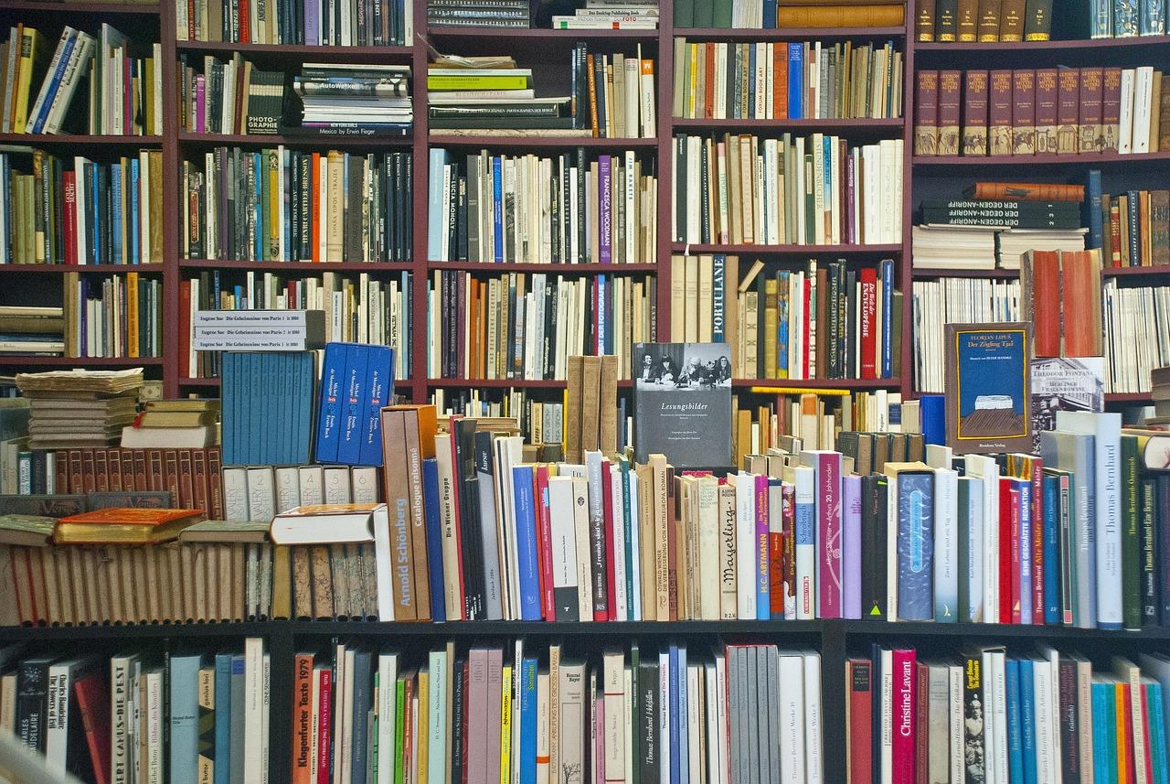 Ve stopách Milana Kundery