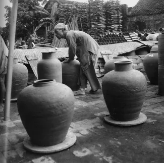 Dagmar Hochová: Vietnam, 1961